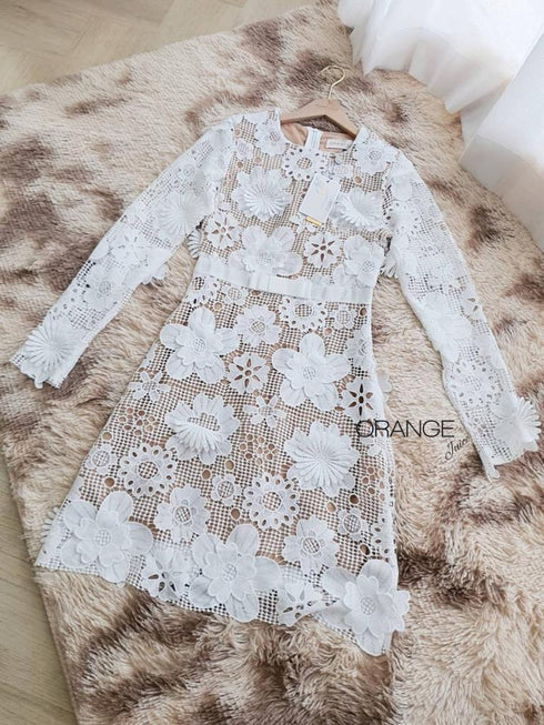 ORANGE JUICE Lace Embroidered Round Neck Dresses